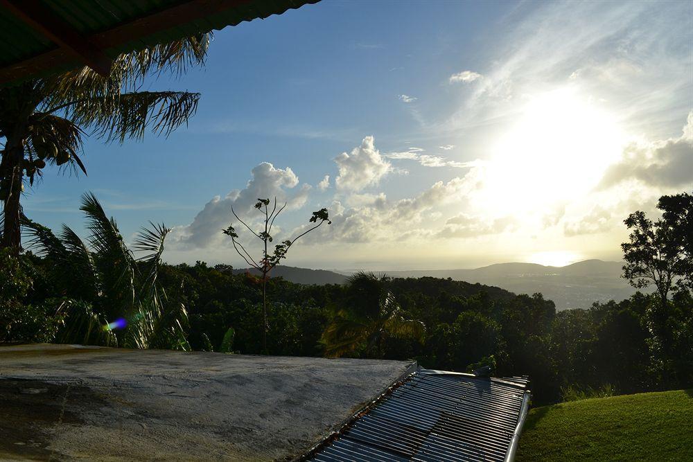 El Hotelito At The Rainforest Experience Farm 파하르도 외부 사진