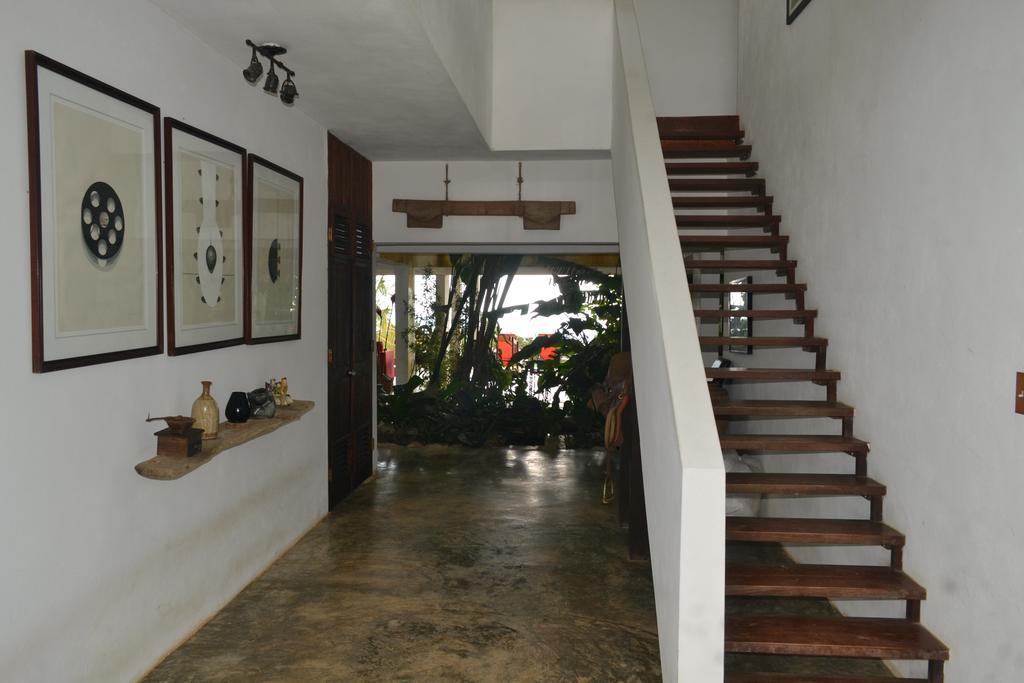 El Hotelito At The Rainforest Experience Farm 파하르도 외부 사진