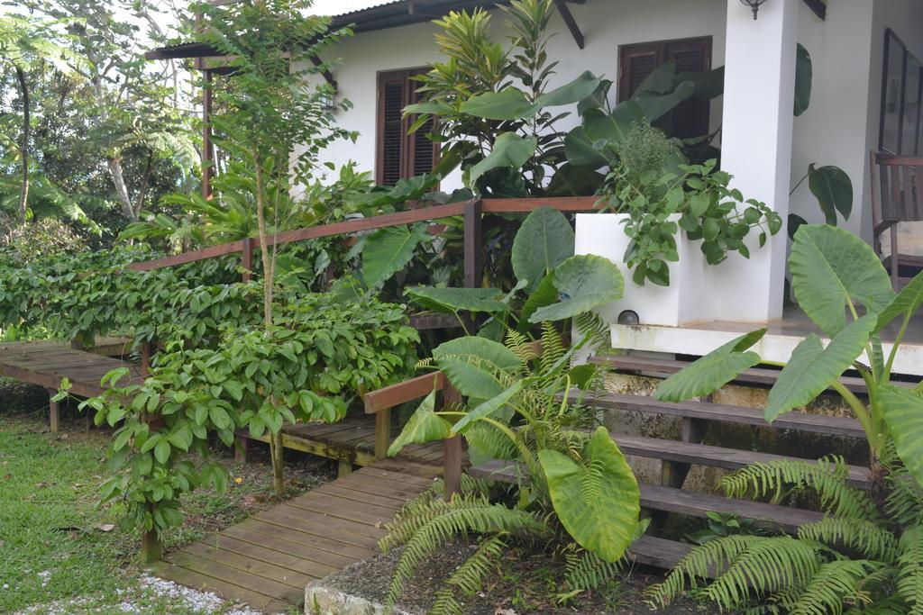 El Hotelito At The Rainforest Experience Farm 파하르도 외부 사진