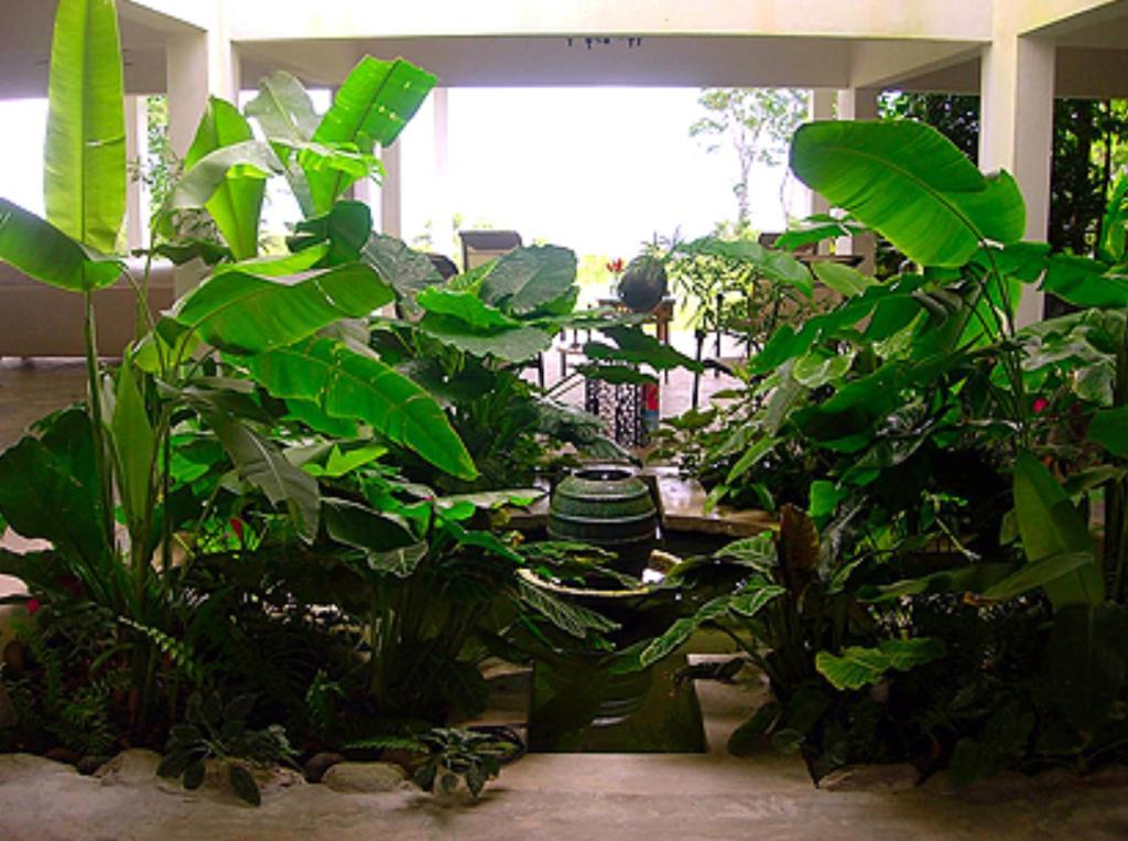 El Hotelito At The Rainforest Experience Farm 파하르도 외부 사진